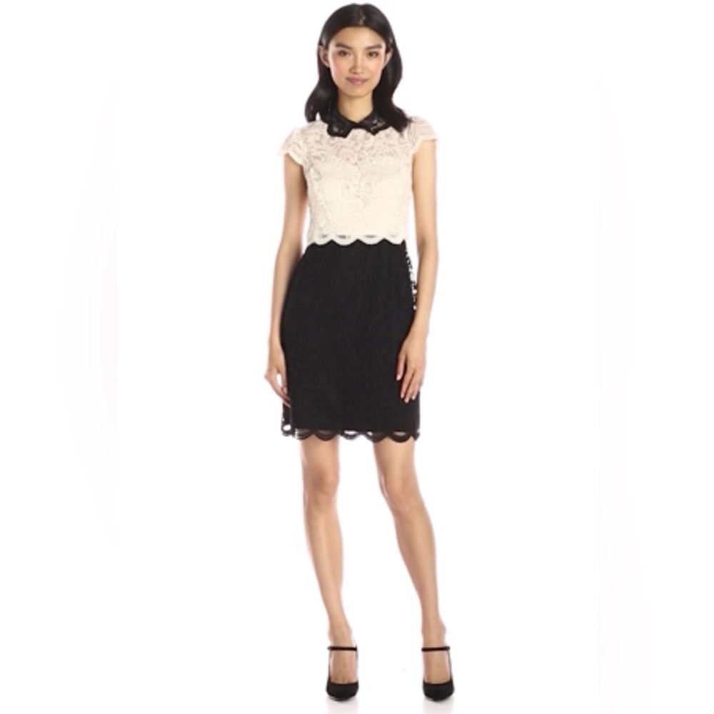 Nwot Betsy Johnson feminine dress